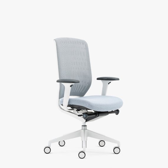 EV2740MF Evolve 2 Membrane back, upholstered seat with multi-function arms